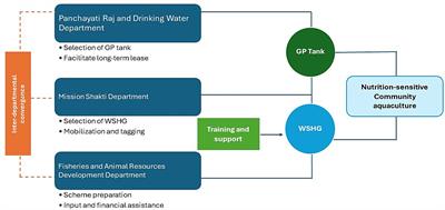 Scaling community-based aquaculture for enhanced nutrition and women’s empowerment: lessons from Odisha, India